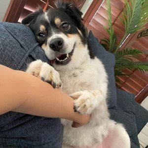 Meet your Posher, Summer